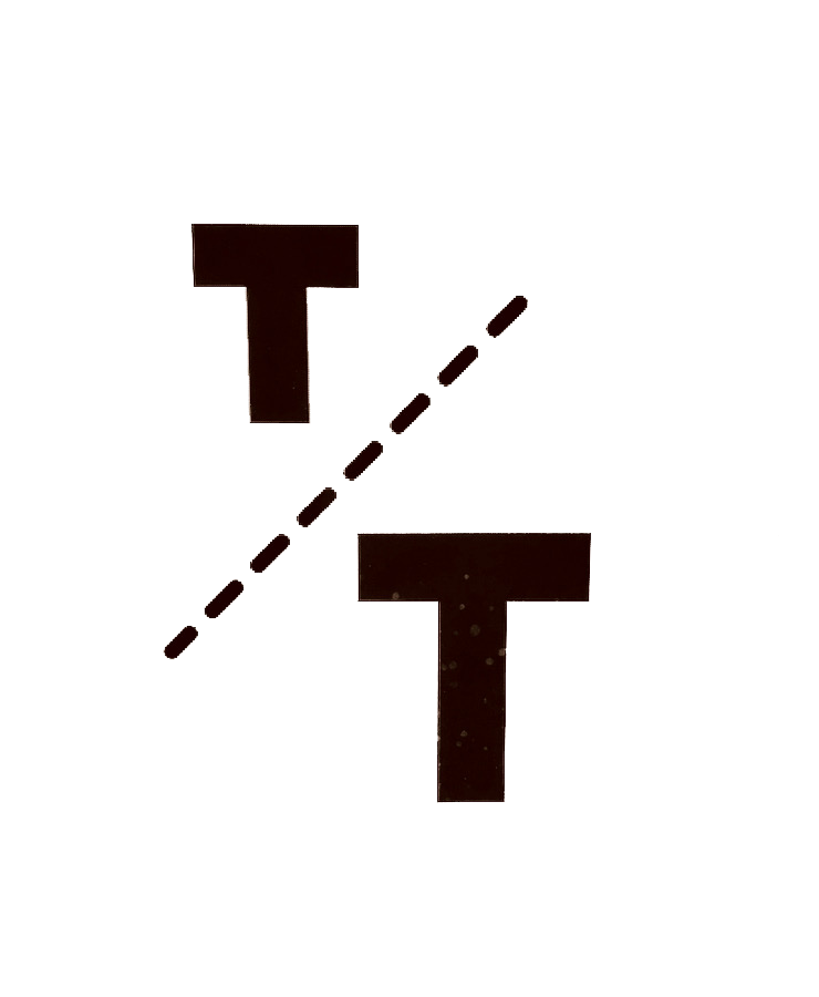 TT logo web